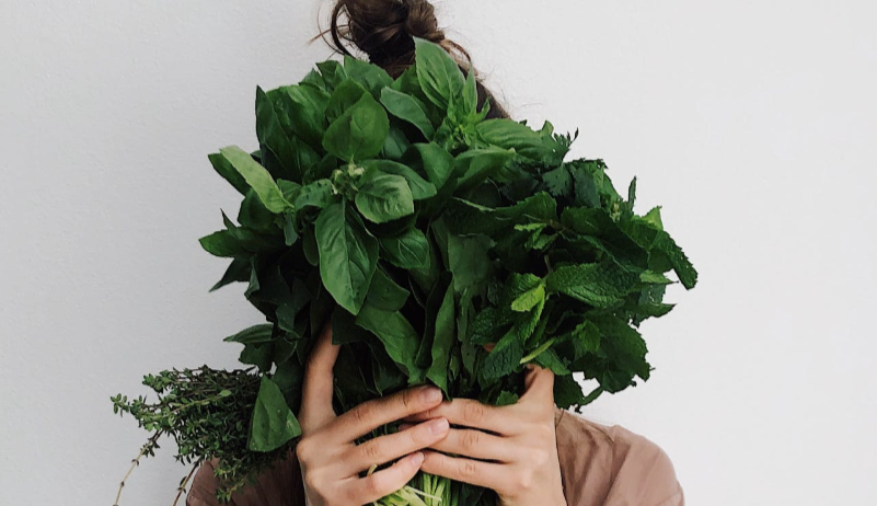 vegan lifestyle