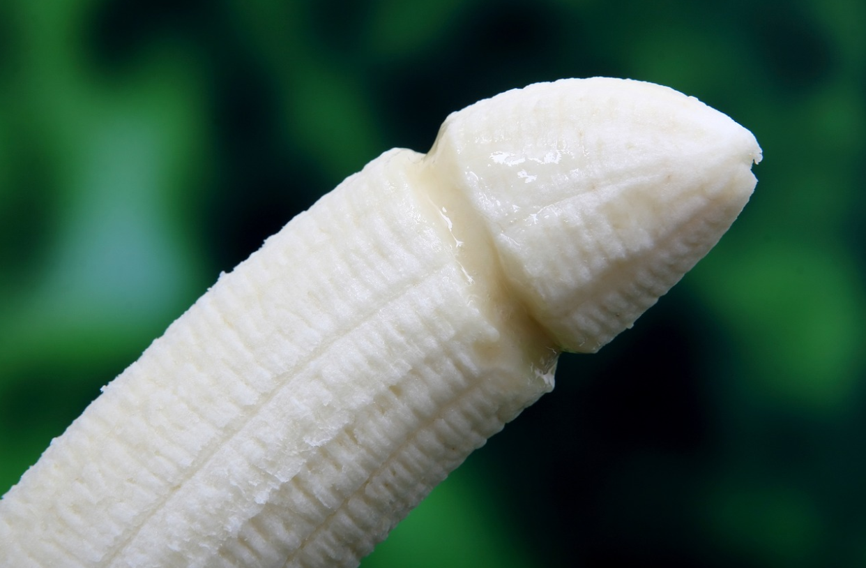 penis replica
